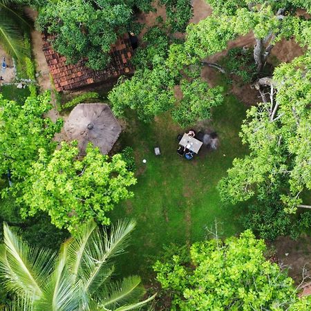 Eco Village Kalundewa Dambulla Exterior photo