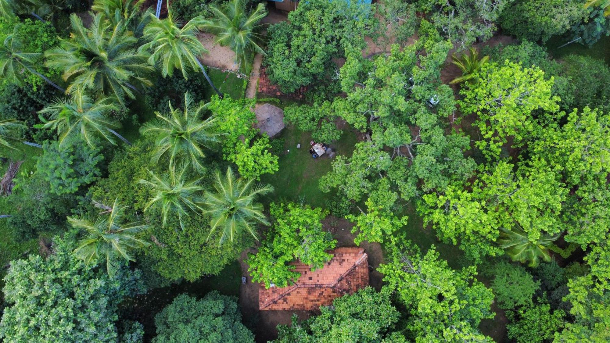 Eco Village Kalundewa Dambulla Exterior photo