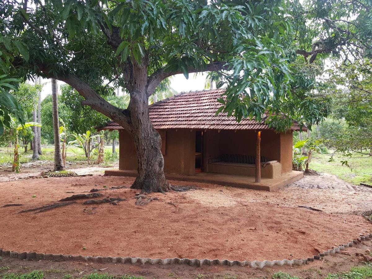 Eco Village Kalundewa Dambulla Exterior photo