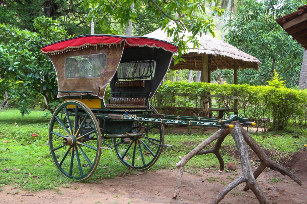 Eco Village Kalundewa Dambulla Exterior photo