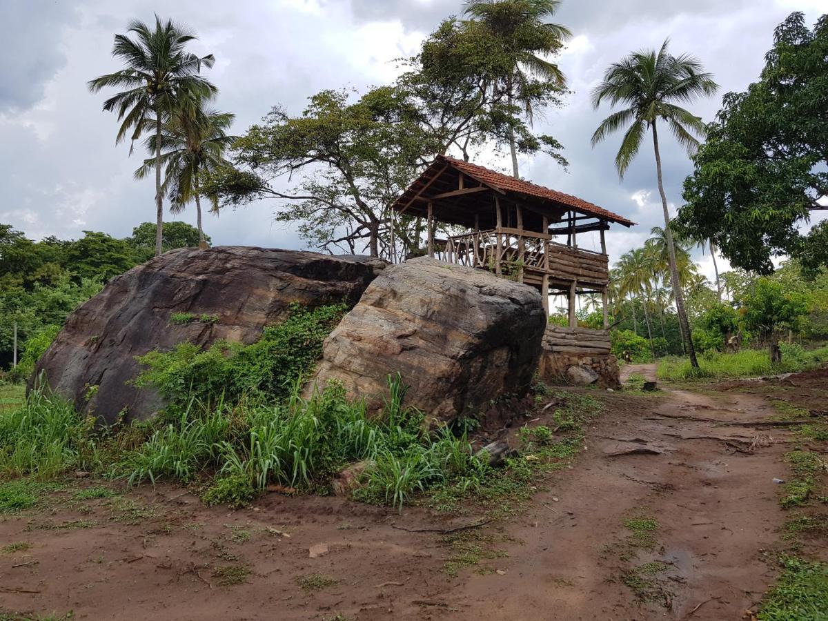Eco Village Kalundewa Dambulla Exterior photo