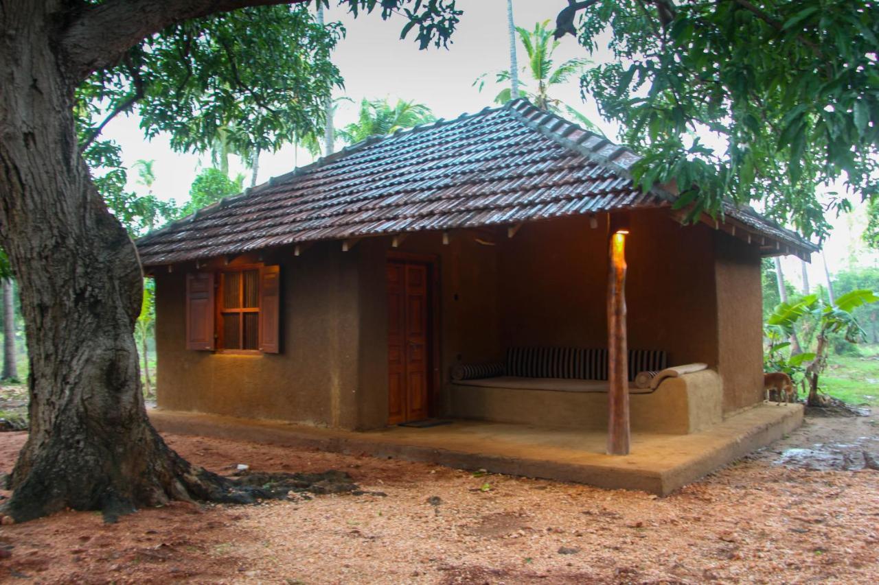 Eco Village Kalundewa Dambulla Exterior photo